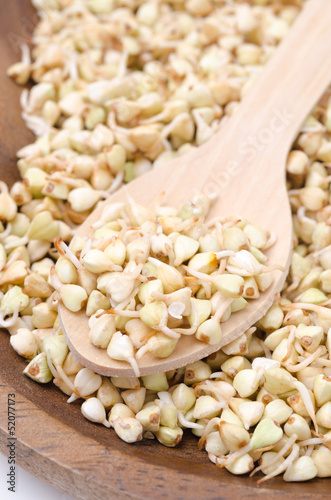 Photo: green sprouts buckwheat in wooden bowl closeup green sprouts buckwheat in wooden bowl closeup