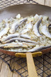 grilled sardine in a pan