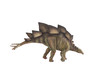 Photo: Stegosaurus dinosaur against white background Stegosaurus dinosaur against white background