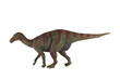 Photo: Iguanodon dinosaur against white background Iguanodon dinosaur against white background