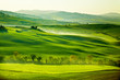 Countryside, San Quirico´Orcia , Tuscany, Italy