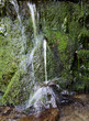 fountain
