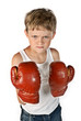 Kleiner Boxer