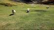 wanlockhead in scotland