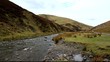 wanlockhead scotland