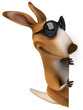 Fun kangaroo