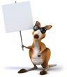 Fun kangaroo