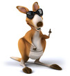 Fun kangaroo