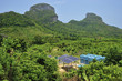 Solar cells in tropical environment.