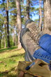 Wanderpause
