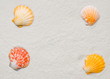 Foto: Muschelrahmen Muschelrahmen