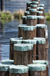 Wood  bollard in Baltimore Harbor