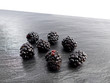 Brombeeren auf Schiefer