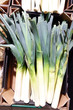 Foto: Fresh leek in boxes Fresh leek in boxes