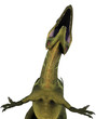 Illustration: Yangchuanosaurus crazy run Yangchuanosaurus crazy run