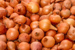 Foto: Background of onion seeds Background of onion seeds