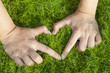 Love nature
