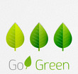 Vektor: Spring / summer green leaves nature background Spring / summer green leaves nature background