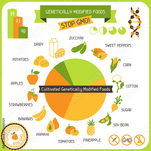 Vector: Information Poster Genetically Modified Foods Information Poster Genetically Modified Foods