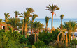 Palm trees on the beach