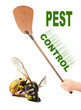 Flyswatter and dead yellow jacket wasp. Ecological pest control.
