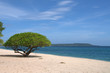 Photo: Playa desierta de Filipinas Playa desierta de Filipinas