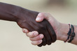 Two men shaking hands on a deal
