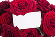 beautiful roses with a blank