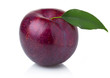 Ripe purple plum fruit with green leaves isolated