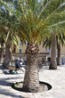 ajaccio 1