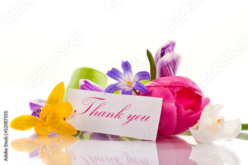 Photo: spring flowers spring flowers