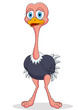 Cute ostrich cartoon