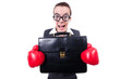 Businesswoman in boxing concept on white