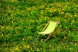 liegestuhl auf blumenwiese II