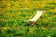 liegestuhl auf blumenwiese I