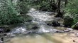 river in forest in spring