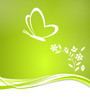 Grüne Karte mit Schmetterling Herzform