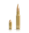 Ammunition bullets on white