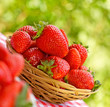 Fresh strawberry