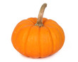 Photo: small pumpkin small pumpkin