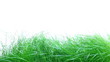 Video: Grass Grass