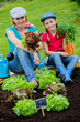 Photo: Gardening, vegetable - girl helping mother in the garden Gardening, vegetable - girl helping mother in the garden