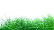 Video: Grass Grass