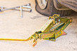 Mechanic sets a jack-screw.