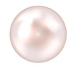 Pearl vector illustration