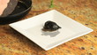 Emplatado de chipirones