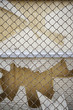 Photo: Broken glass in the window Broken glass in the window