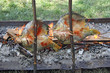 Fish on the grill