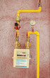 Gas Valves