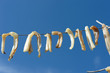 dried fish